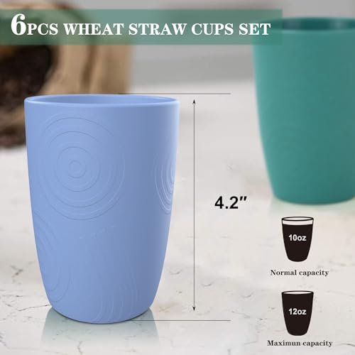 Homienly Unbreakable Wheat Straw Drinking Glasses - Set of 6